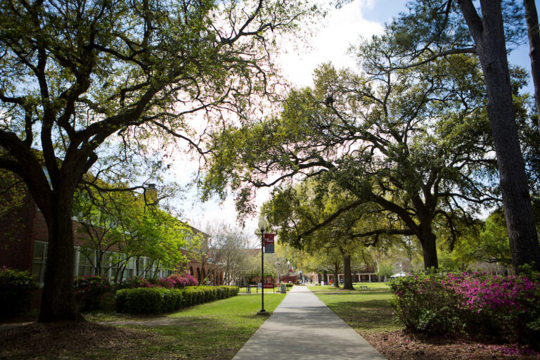 Azalea Bushes Stock 2016
(Photo by Misty Leigh McElroy/Nicholls State University)
3/22/16