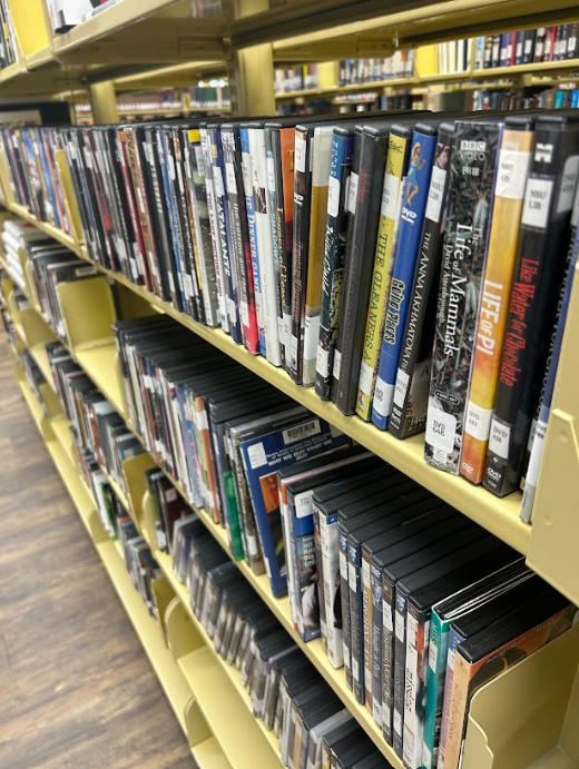DVDs on a shelf at the Ellender Memorial Library