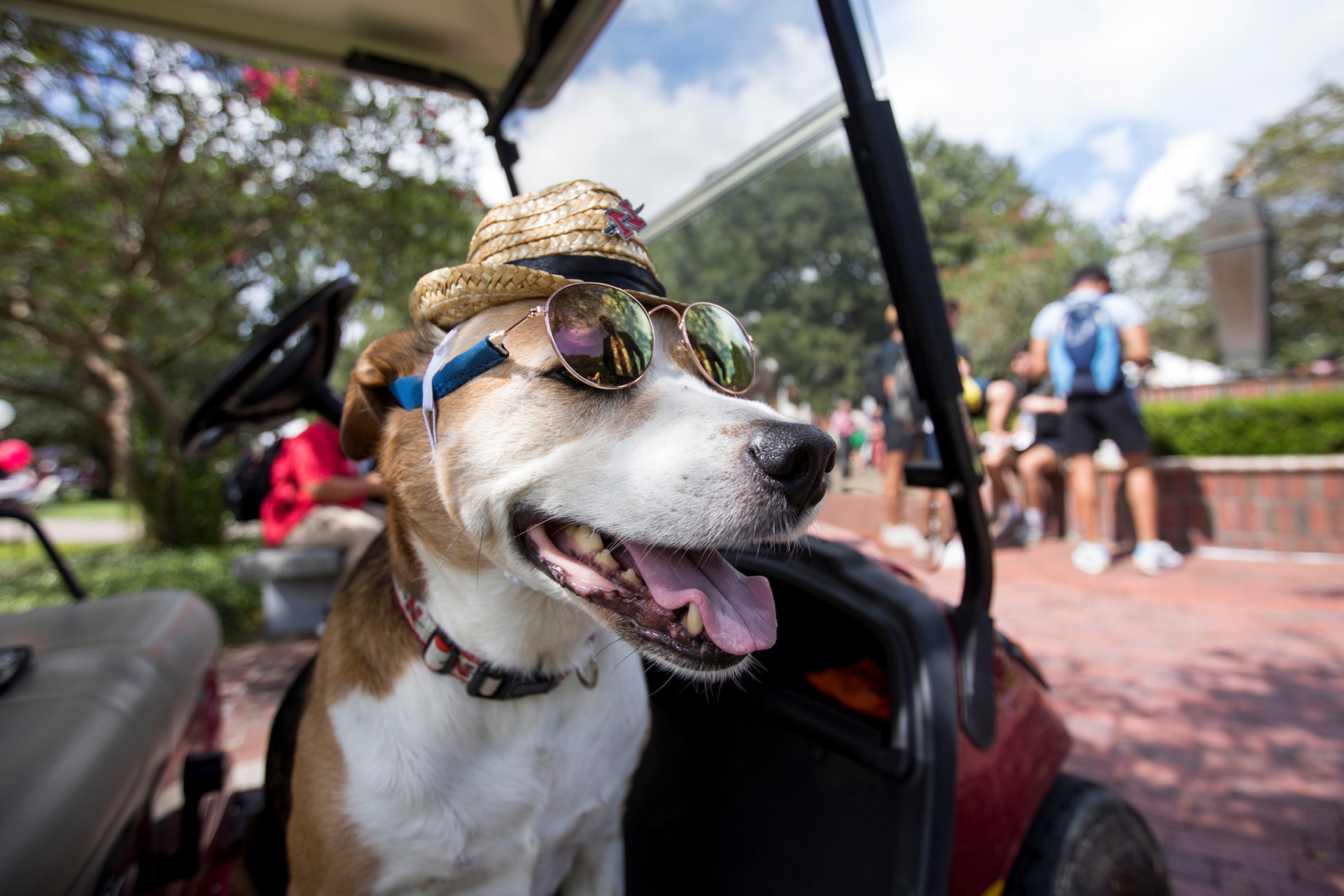 Nicholls to Offer Louisiana’s First PetFriendly Residence Hall this
