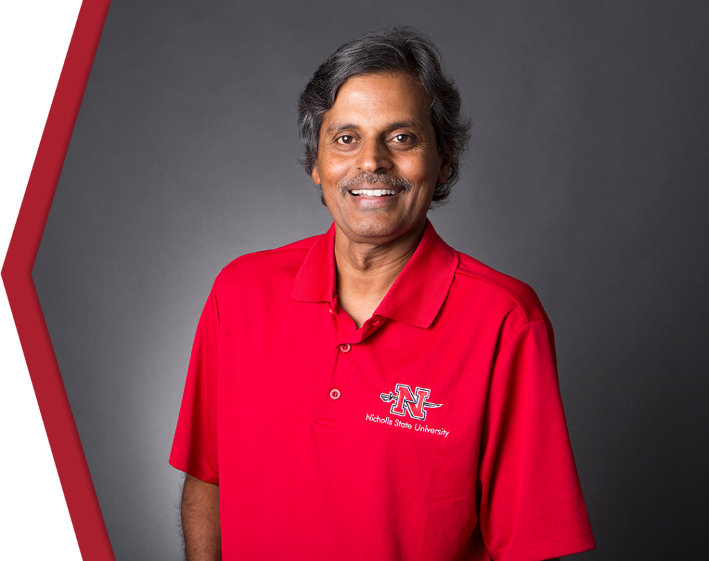 dr. ramaraj boopathy