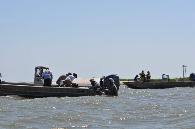 Two Boats
