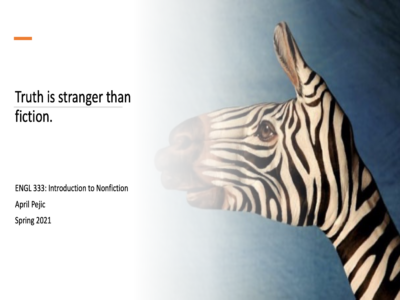 Zebra